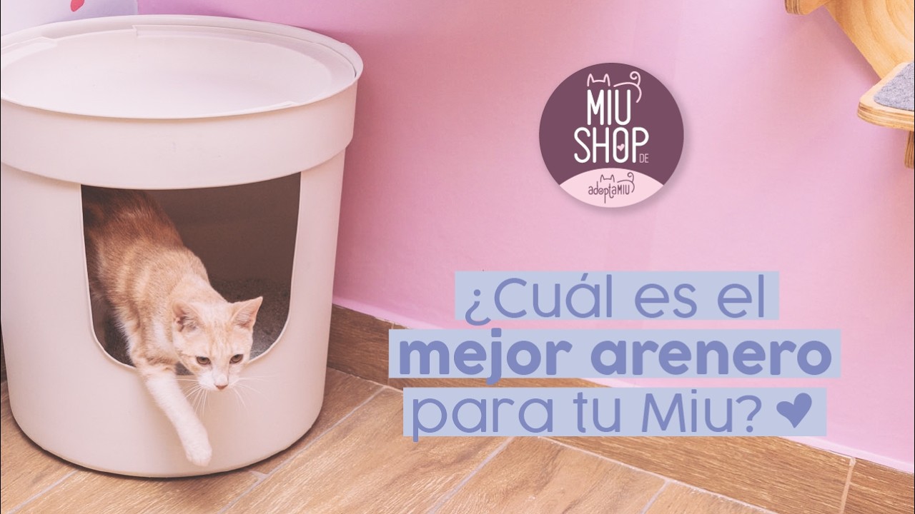 MIUSHOP: ¿Cuál Es El Mejor Arenero Para Tu Miu?