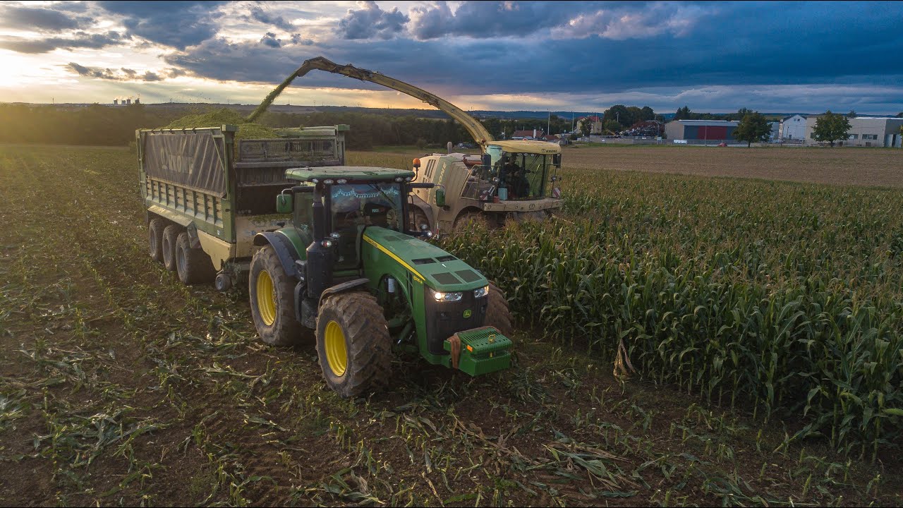 4K | Siláže 2023 - Krone Big X 1100 & TX 460 & ZX 560, 2x Tatra Phoenix - Agroenergo MD