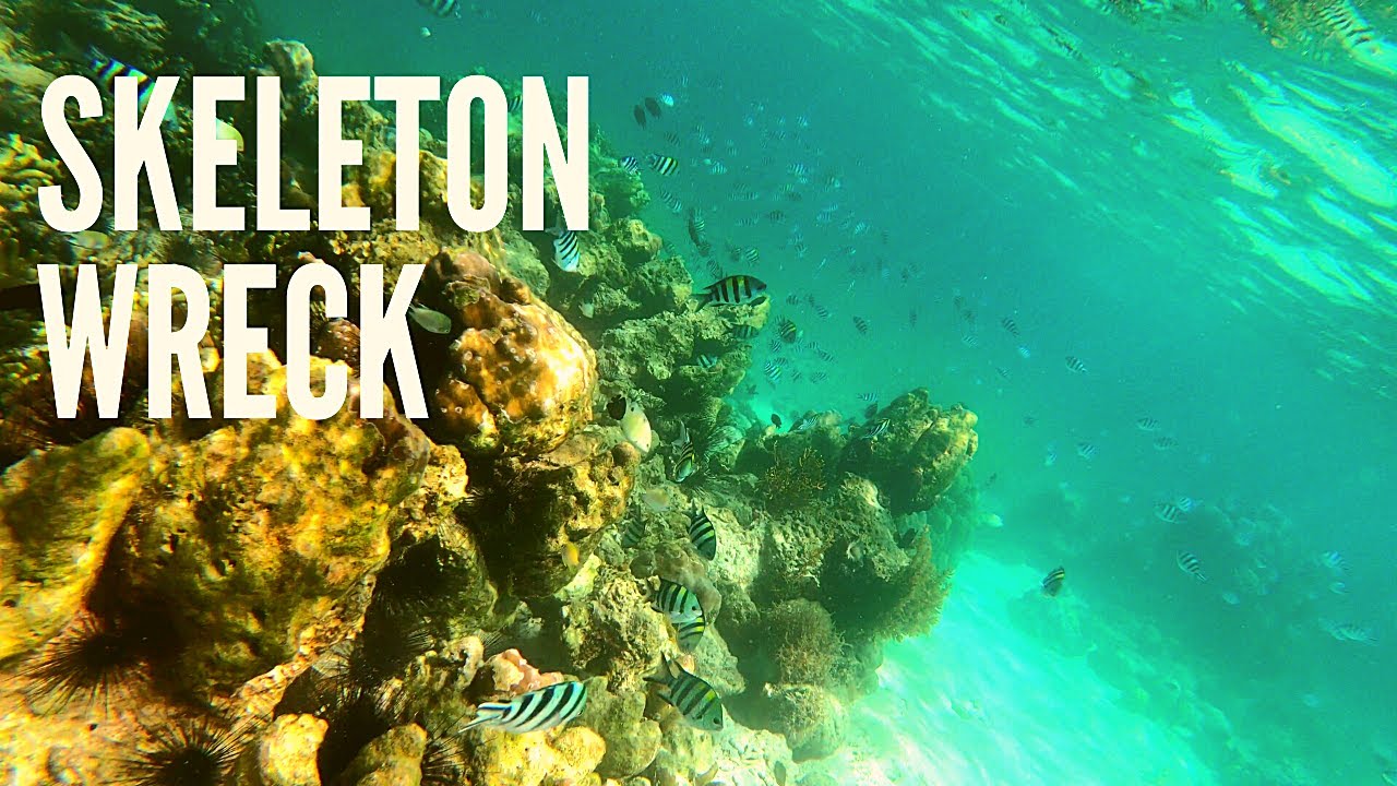 EXPLORING SKELETON WRECK CORON