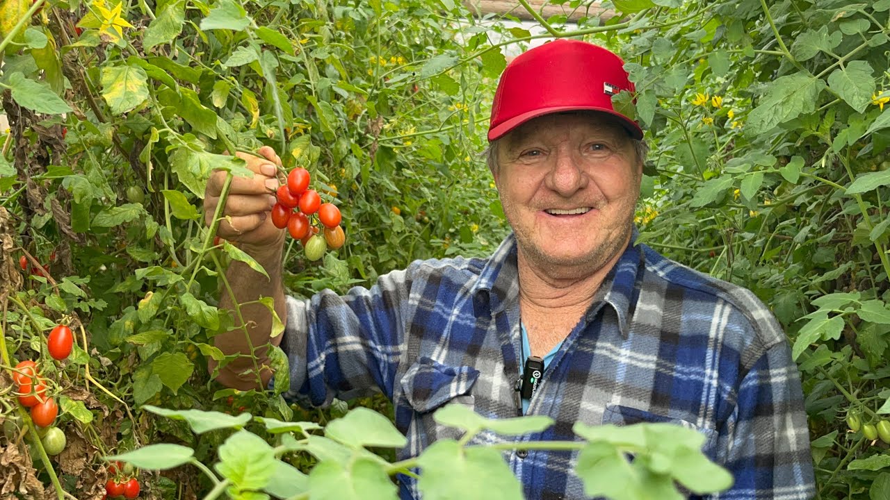 PEQUENO SÍTIO SUPER PRODUTIVO- SEU WILSON