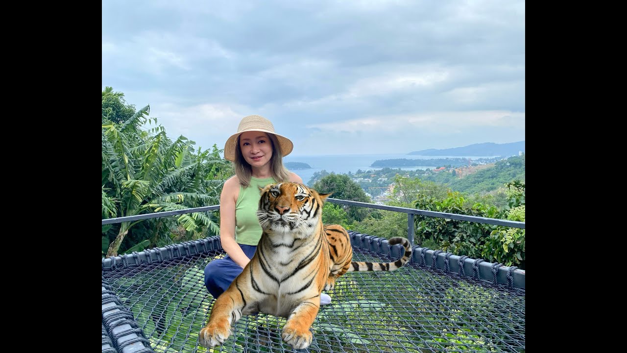 Phuket Tiger Park,  Hidden Cafe and photos at end  20251126