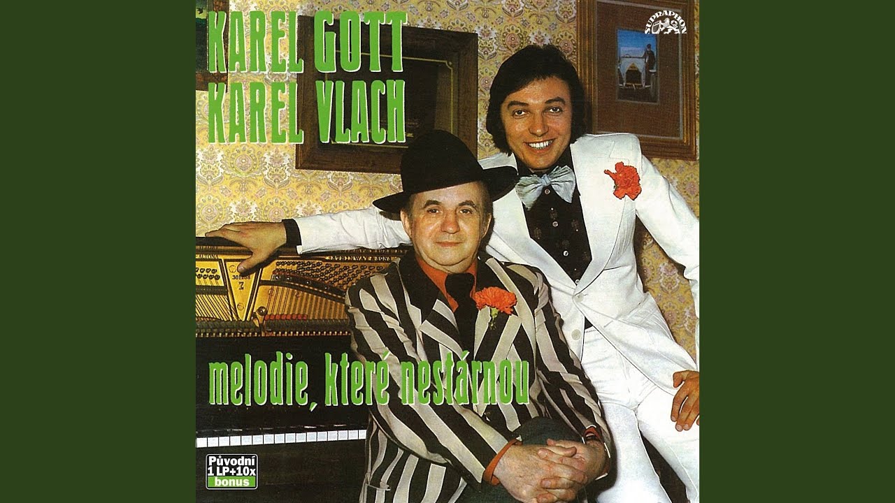 Žádám víc (Can´t Help Falling In Love With You)