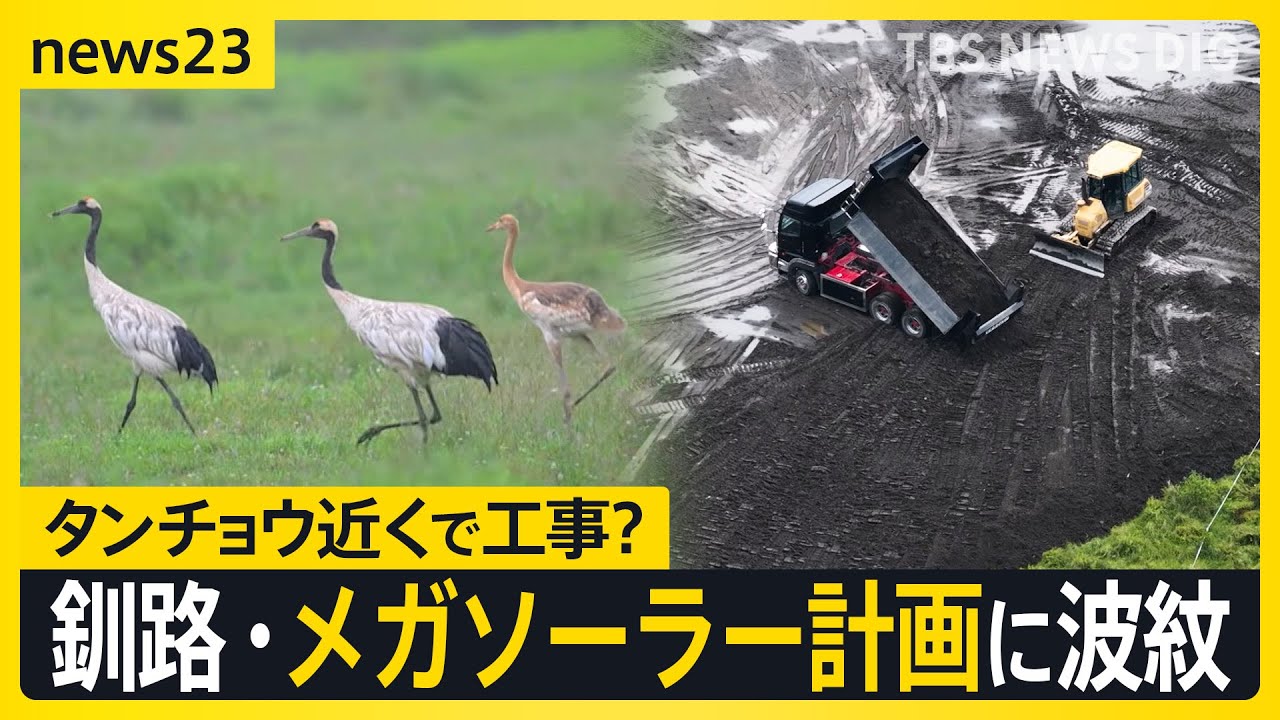 釧路・メガソーラー工事で波紋広がる　自然豊かな湿原周辺で何が　工事計画めぐる様々な声【news23】｜TBS NEWS DIG