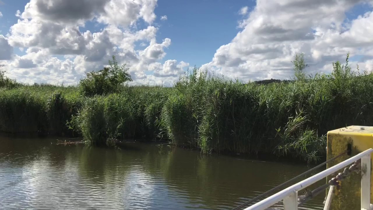 Pontje