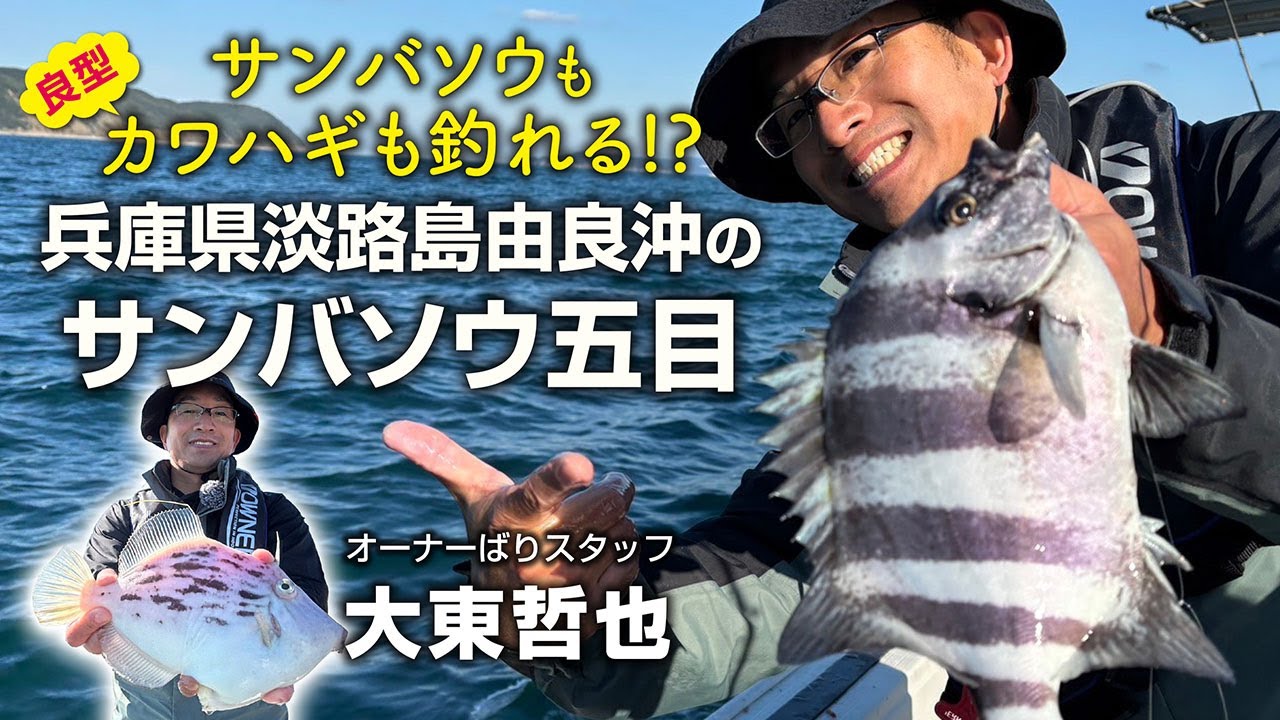 サンバソウもカワハギも釣れる⁉　兵庫県淡路島由良沖のサンバソウ五目