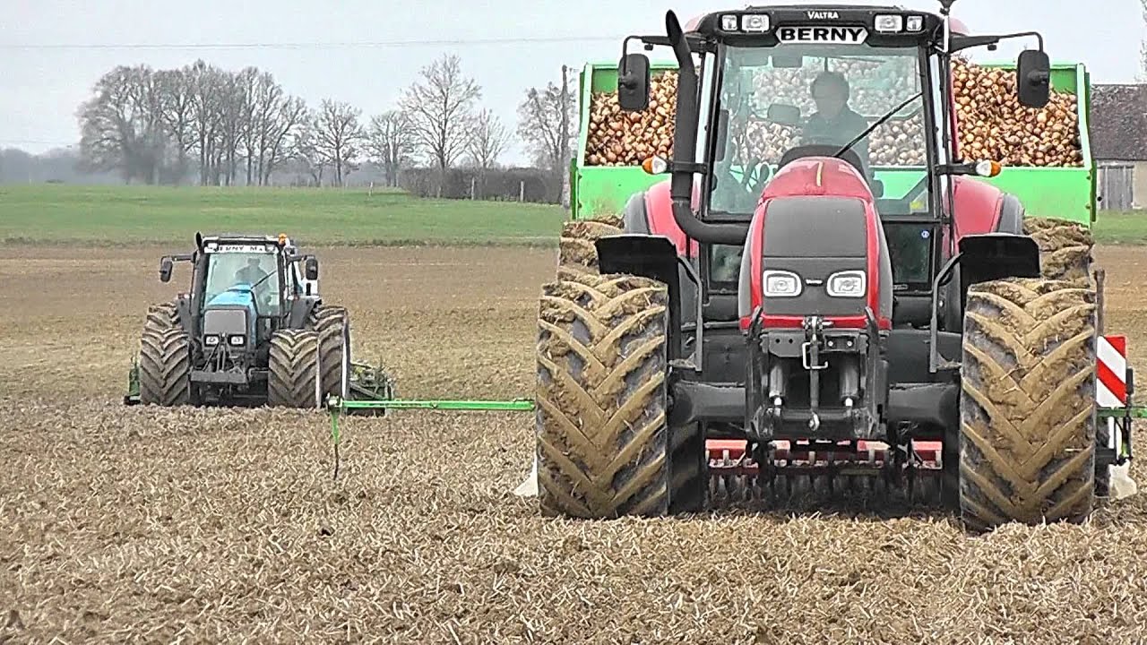 Plantation d'oignon 2012