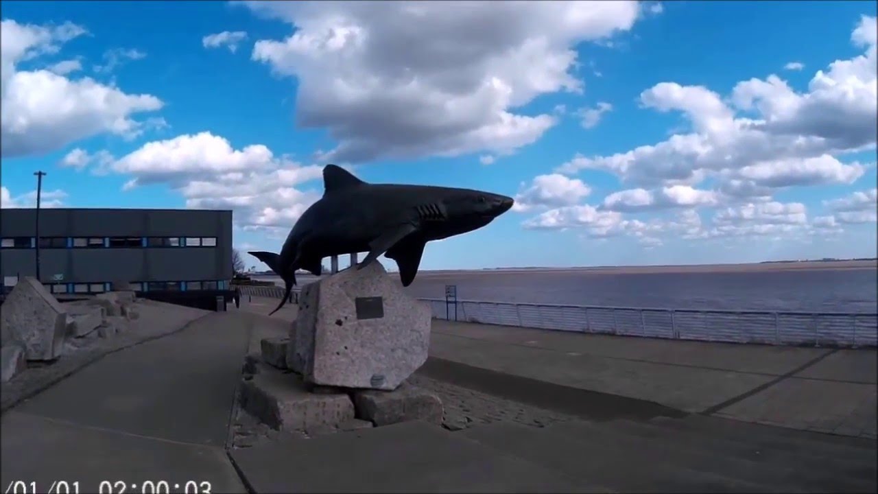 The Deep - Hull - Aquarium