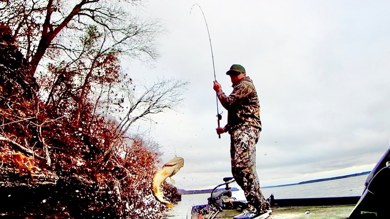 December 2023 Bass Fishing on Wilson Lake in Alabama#alabama #bassfishing #wilsonlake