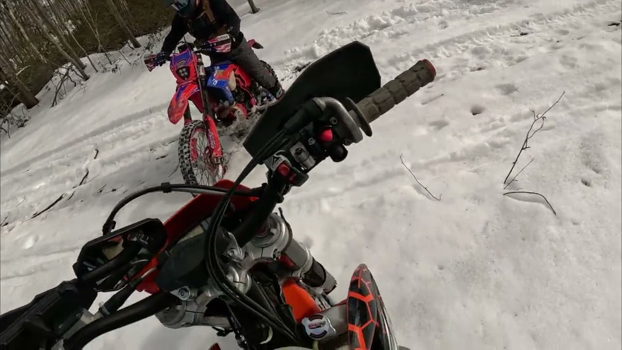 Snow Fairies