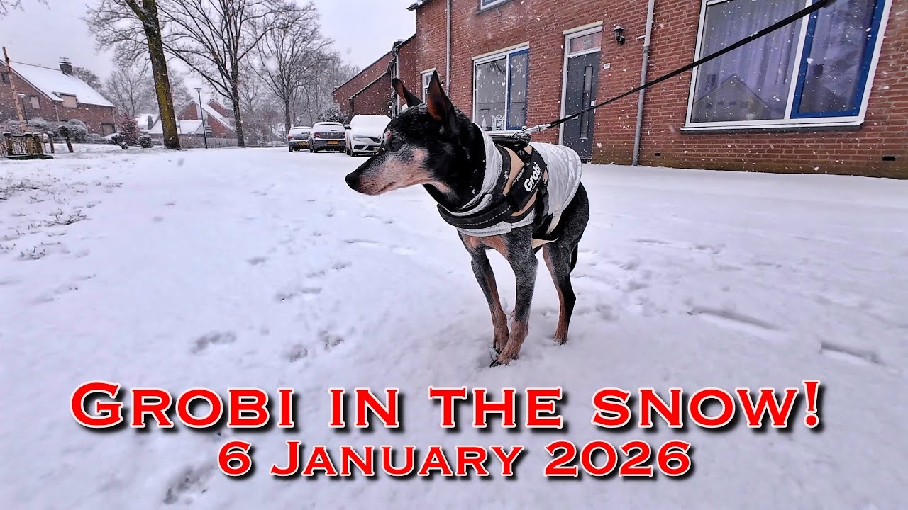 Met Grobi door de sneeuw 3 jan 2026