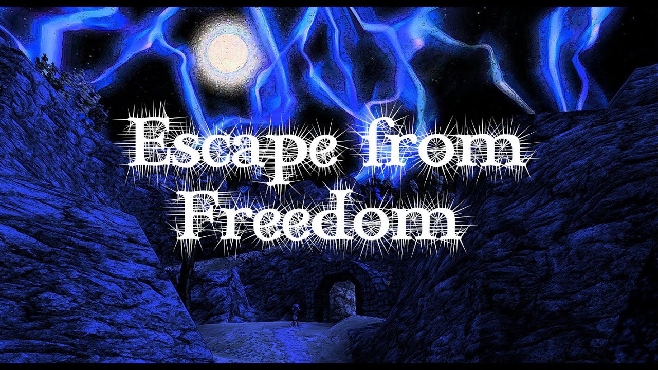 Escape from freedom/Бегство от свободы