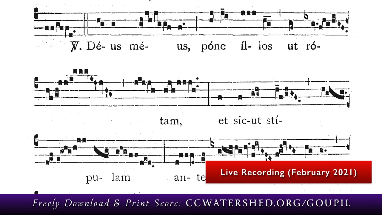 ( * Rec. Live) • GRADUAL for Sexagesima Sunday — “Sciant Gentes” Gregorian Chant