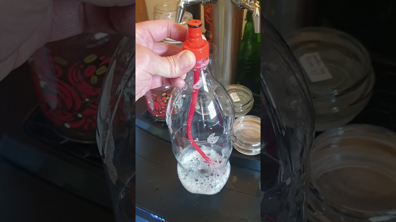 Gelatine / Finings How I Plunge Into Awesome Pressure Fermenter