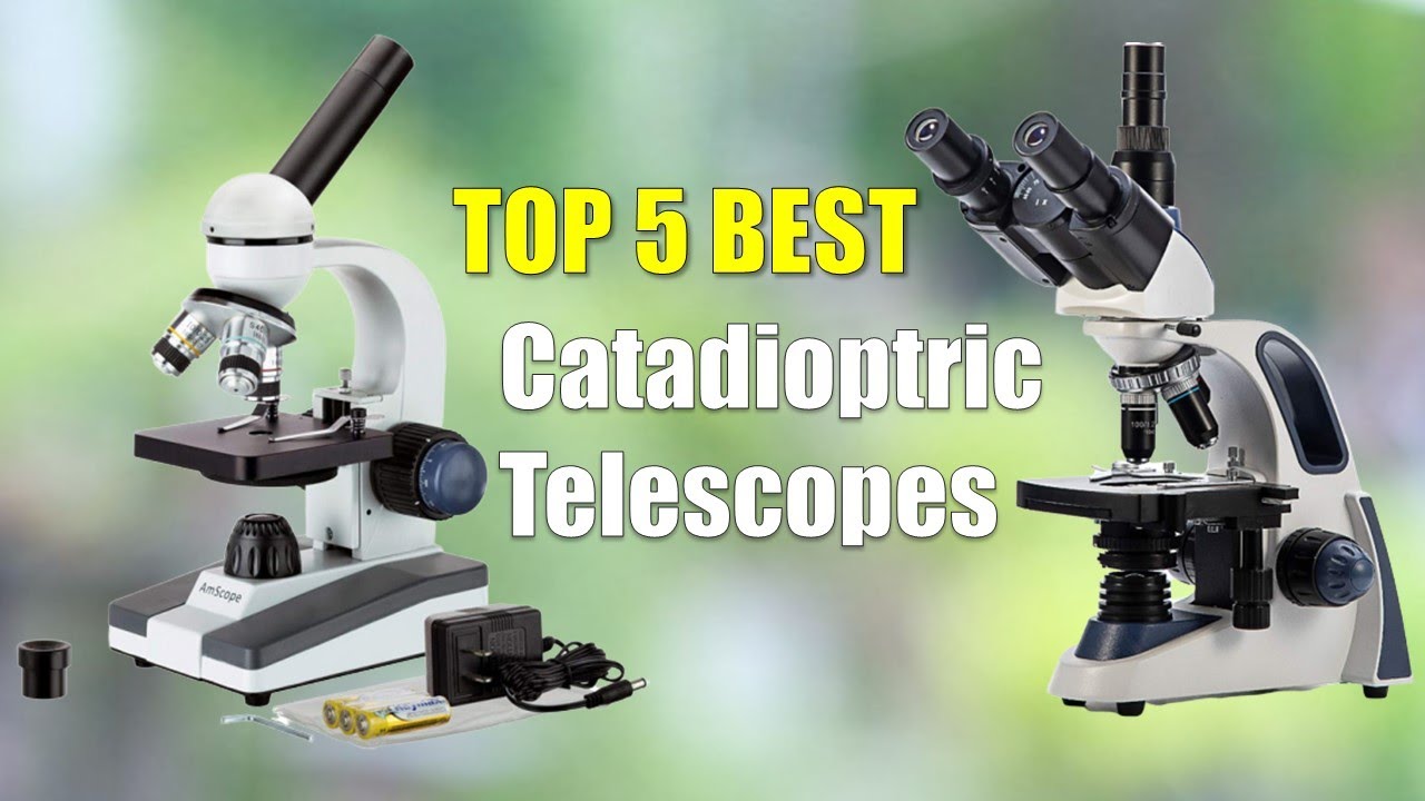 Compound Microscopes : Top 5 Best Compound Microscopes 2020