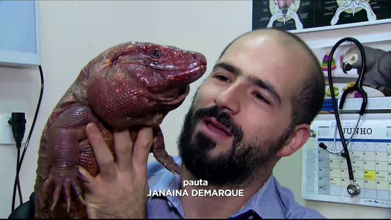 Amigo Animal: conheça bichos de estimação raros e exóticos
