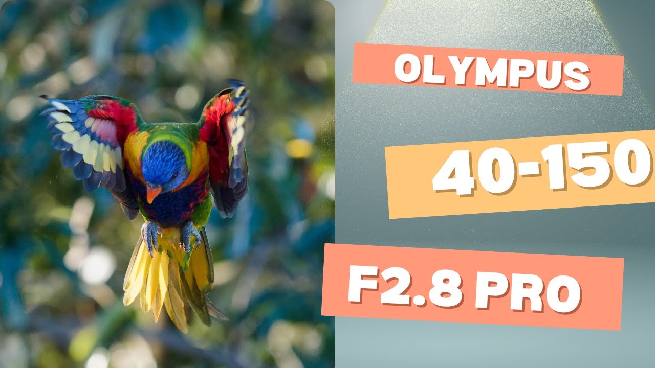 Olympus 40-150 f2.8 pro review