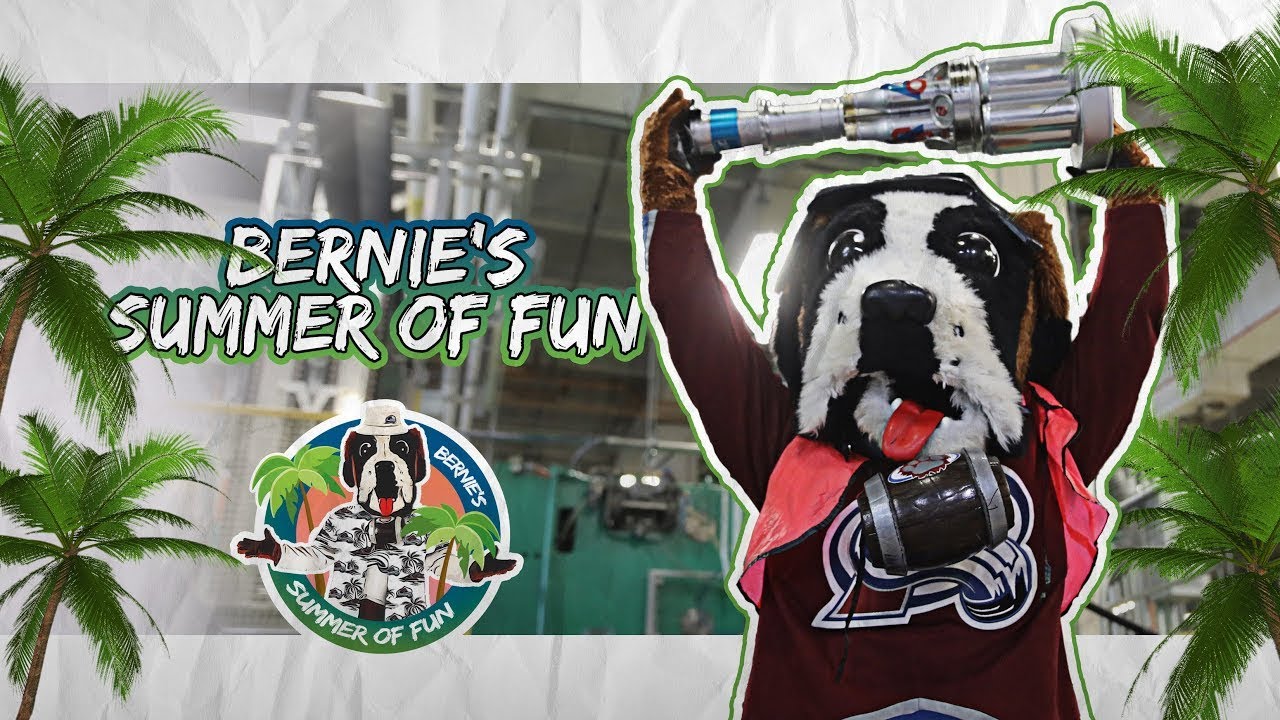 Bernie Goes to Ball HQ | Bernie's Summer of Fun