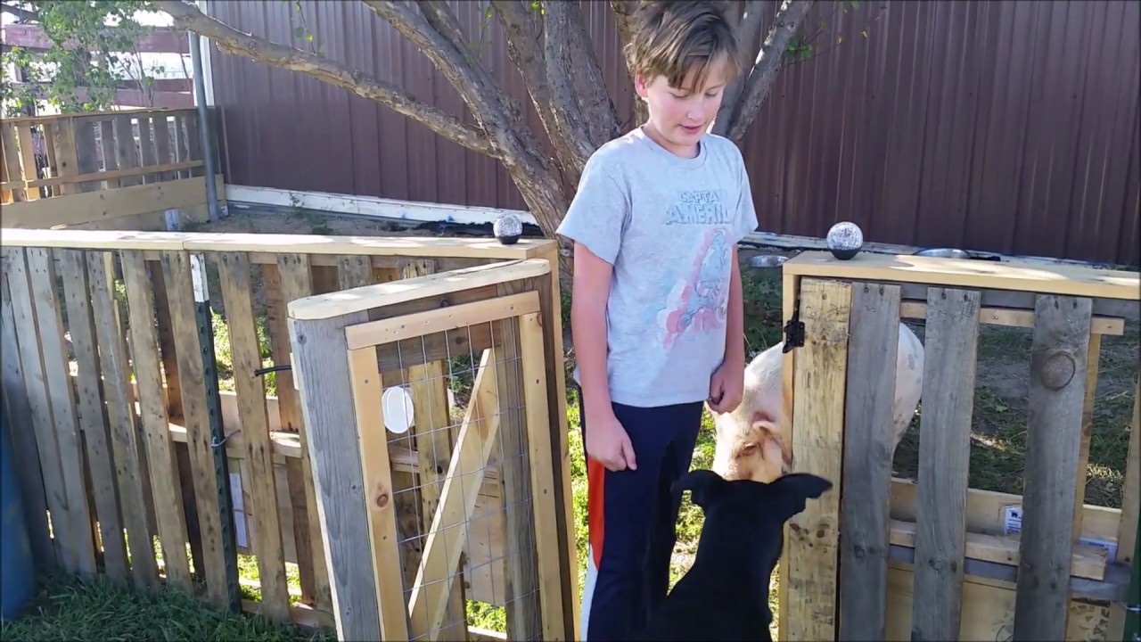 No Farm's Complete Without A Pig!