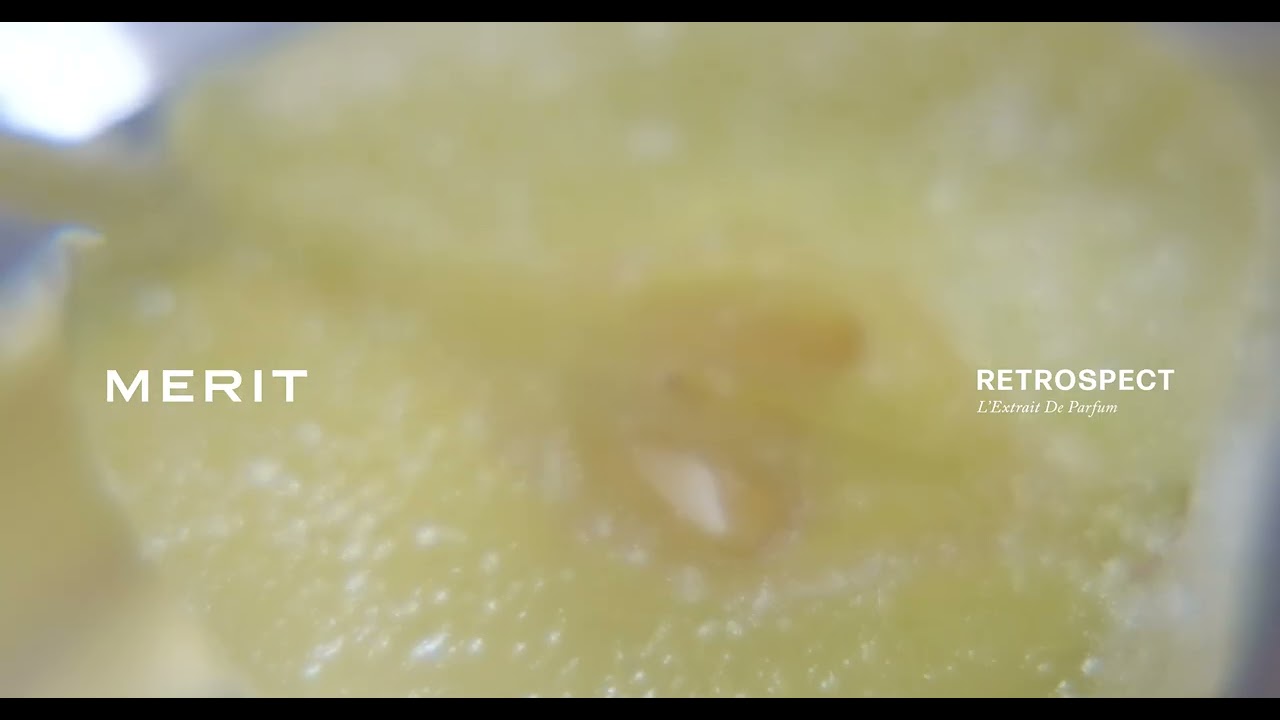MERIT | Retrospect