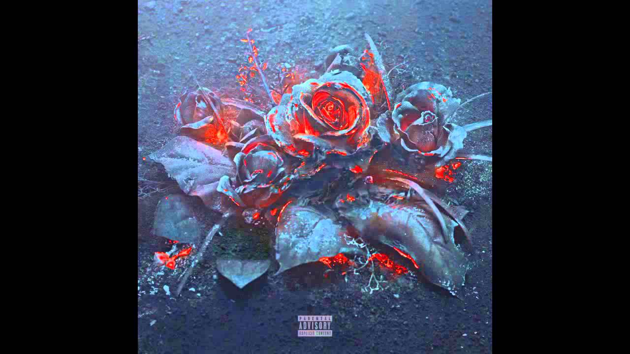 Future - Program (EVOL)