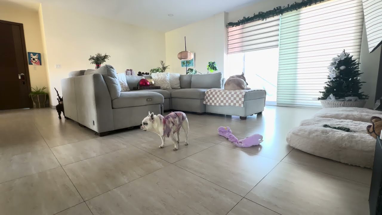 Morning after a long walk