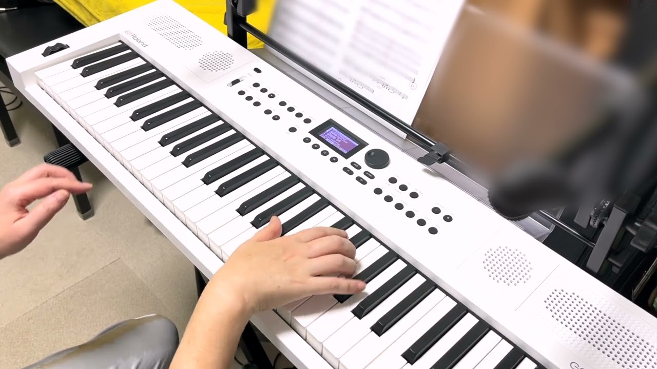 Fragile (Roland Go Keys5)