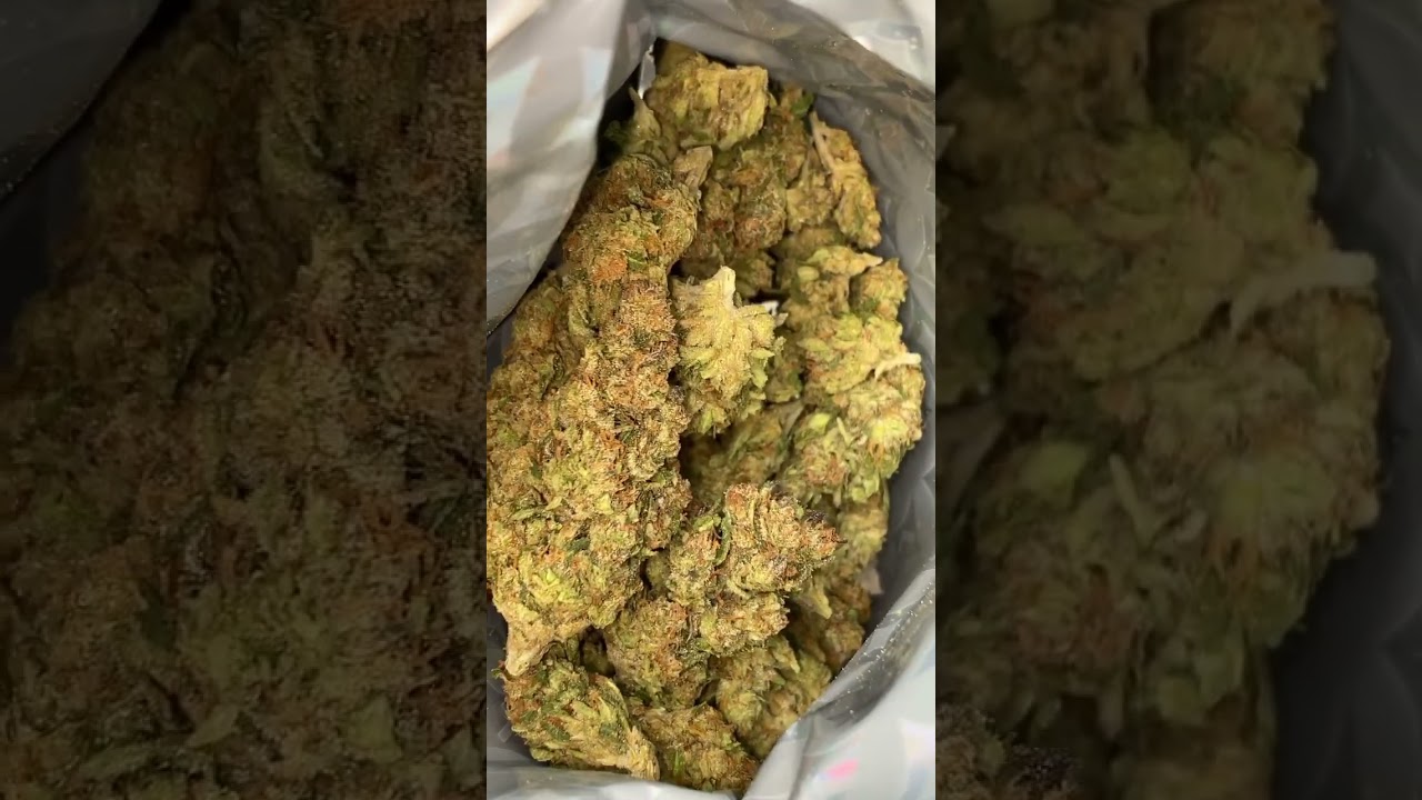 Green crack by Lit Farms! Get 5% off with the link in my bio or get $10 completely free ✅🔥 #lit