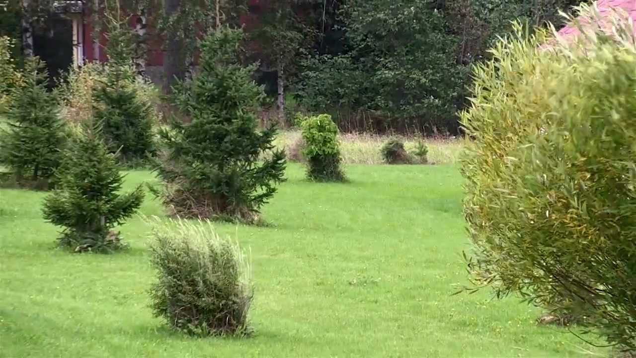Vältä näitä virheitä!