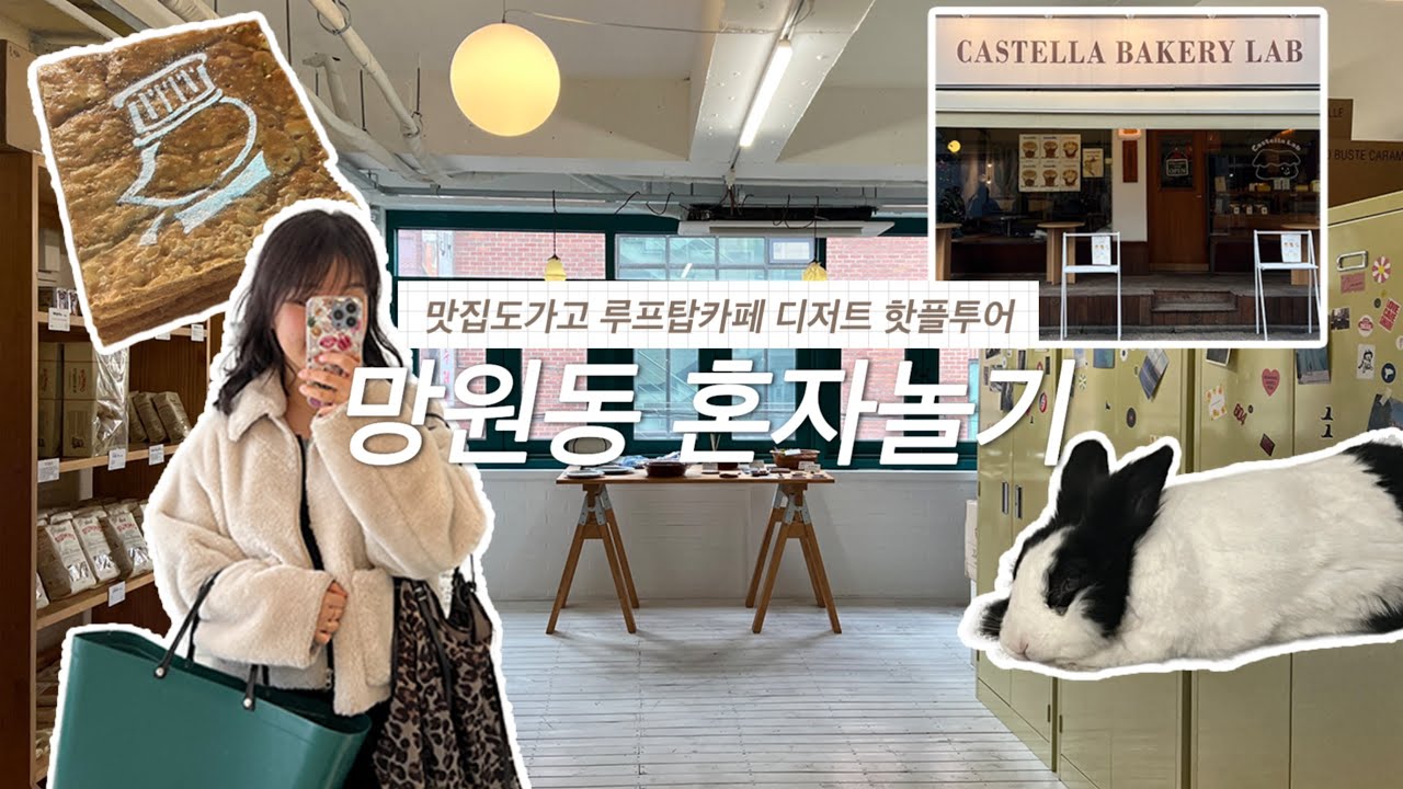 혼자 즐기는 망원동 데이💛 숨은 맛집부터 감성 카페, 서교동까지