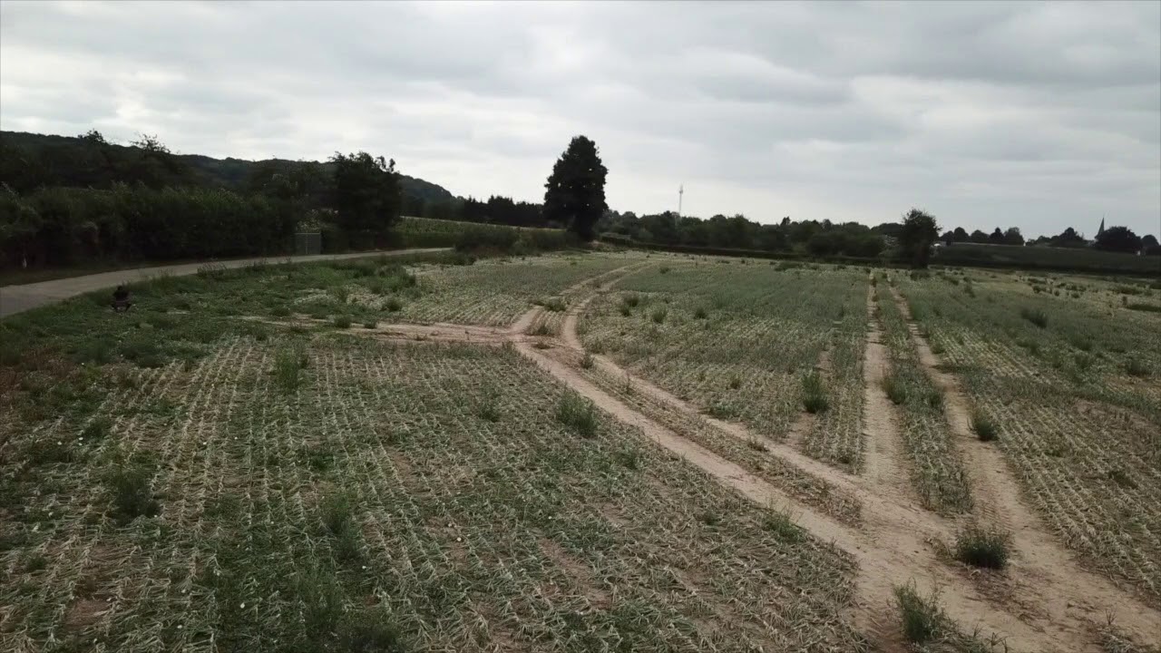Sundaywalk | Drone mavicPRO
