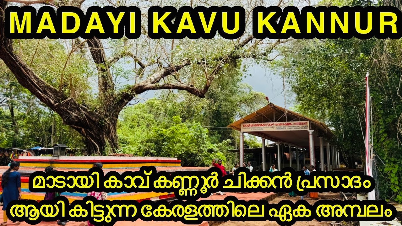 മാടായി കാവ് കണ്ണൂർ ചിക്കൻ പ്രസാദം കിട്ടുന്ന കേരളത്തിലെ അമ്പലം | MADAYI KAVU BHAGAVATHI TEMPLE KANNUR