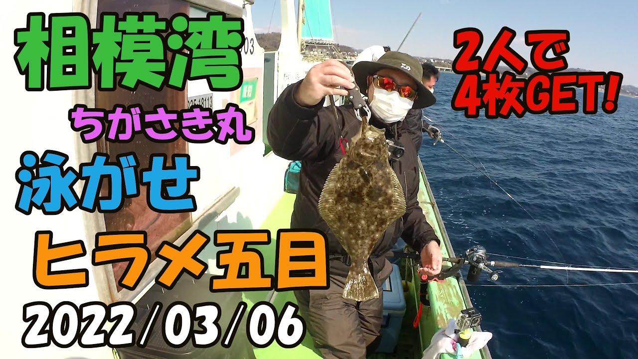泳がせヒラメ五目　2022/03/06　相模湾　茅ヶ崎港ちがさき丸さんから乗り合いでの釣行です。釣果は好調、イワシでの泳がせ釣りは面白い。