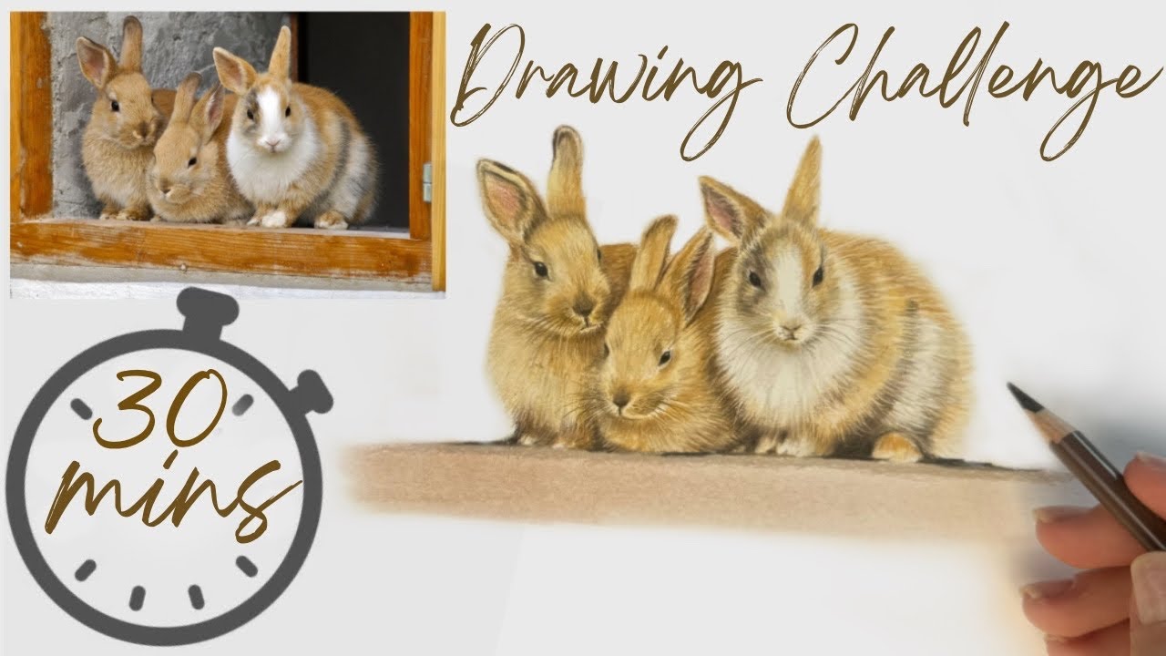30 Minute Drawing Challenge - How much can you draw in 30 mins | Easter Bunnies
