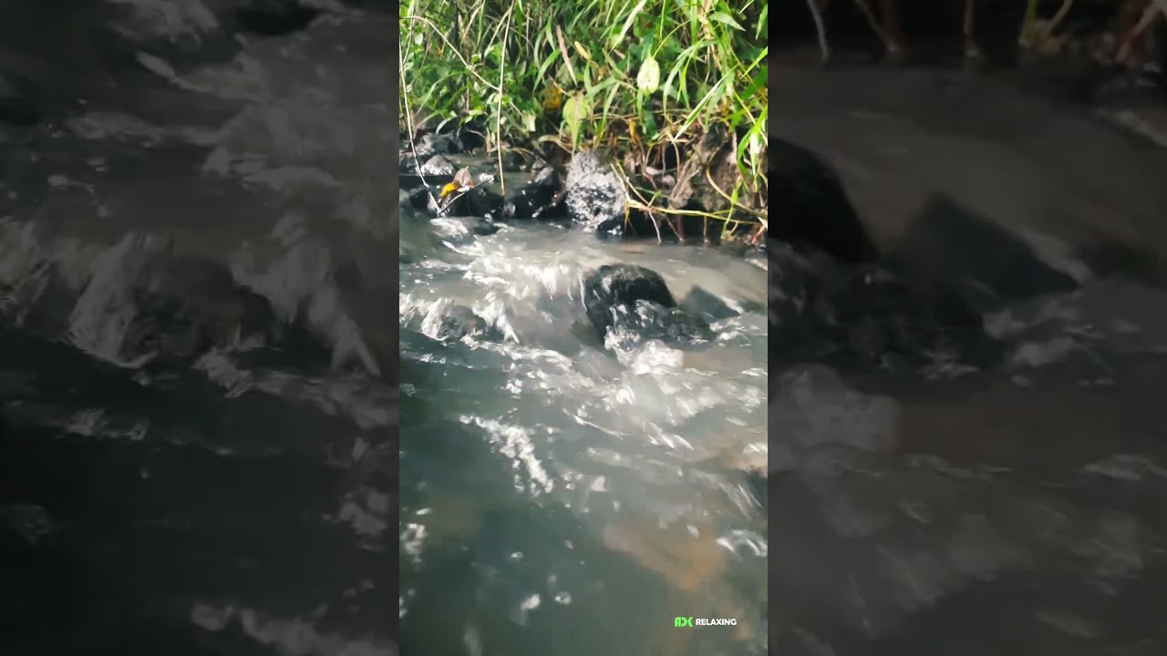 RELAXING SOUND WATER FLOW 