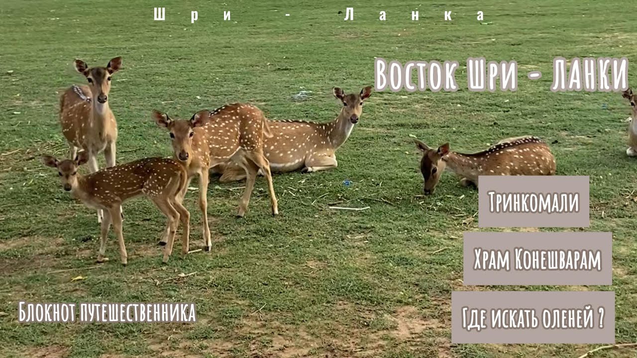Что посмотреть на Востоке Шри - Ланки?