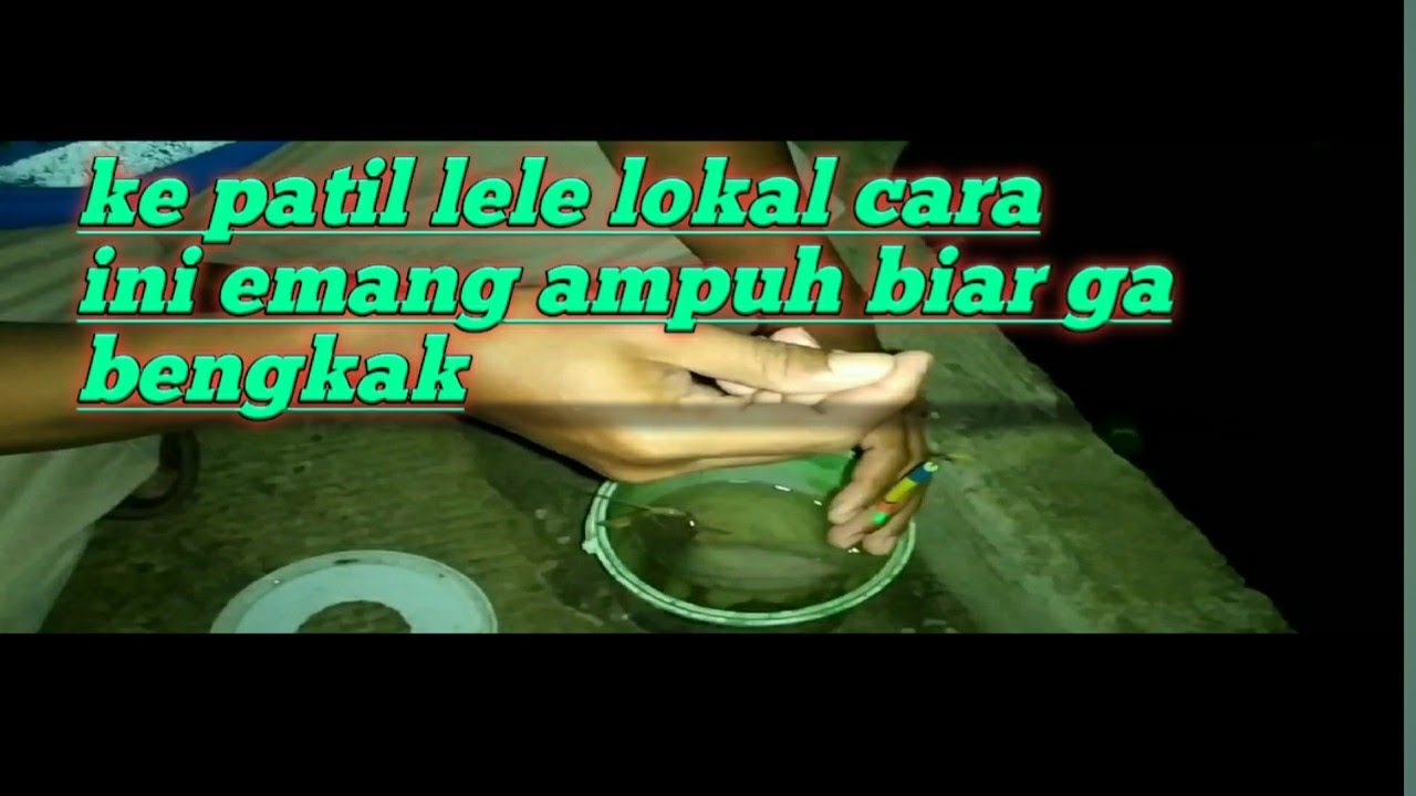 mancing lele di selokan tips jika ke patil lele lokal cara ini emang jitu..