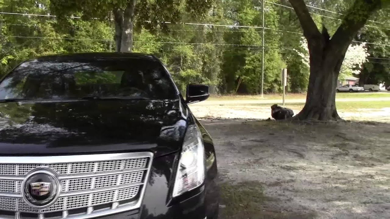 Video of 2013 Cadillac XTS AWD Platinum Edition, Detailed Walkaround