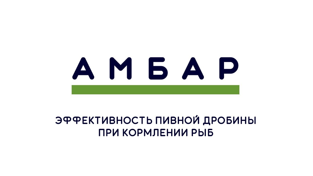 Пивная дробина для кормления рыб: эффективность использования пивной дробины