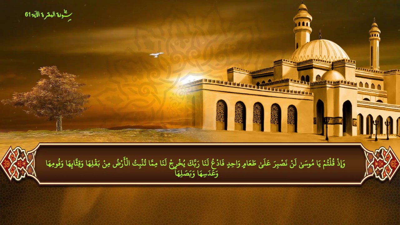 آيات ورد فيها 