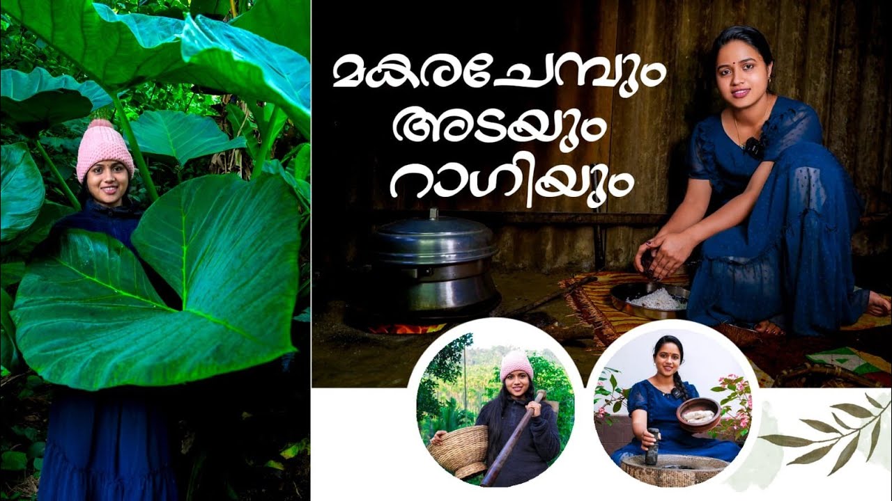 മകര ചേമ്പ് അട മുതൽ റാഗി കൊയ്യൽ വരെ ഒരു ദിവസം /Kerala Village life / Day in  my life/Malayalam