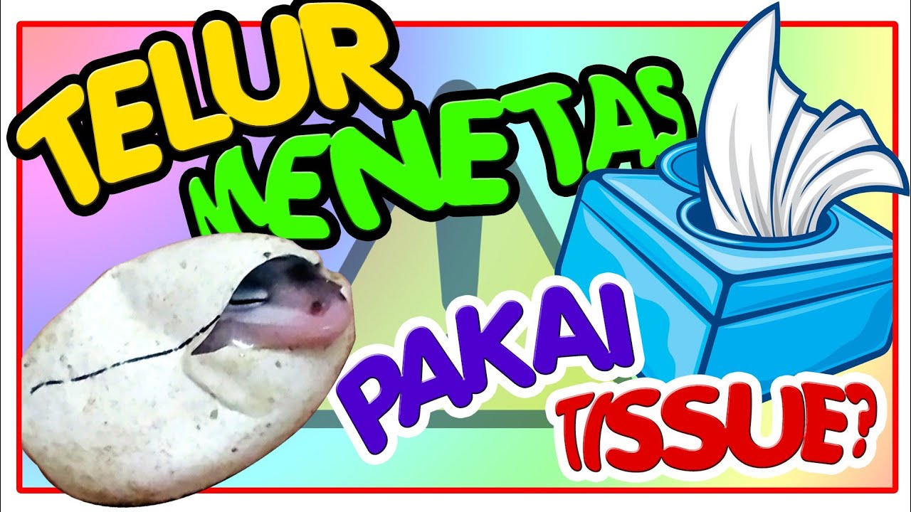 Menetaskan Telur Gecko Pakai TISSUE ‼️ Incub MUDAH, MURAH, DARURAT ‼️