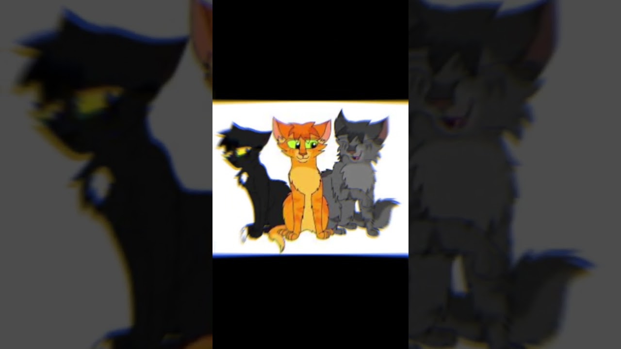 best trio (&eacute;toile de feu, Plume Grise et Nuage de Jais)