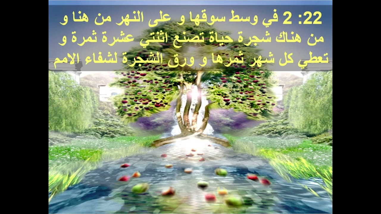 تفسير سفر الرؤيا -  اصحاح 22 ( نهر الحياة - المسيح ات سريعا )  -  ابونا داود مكرم