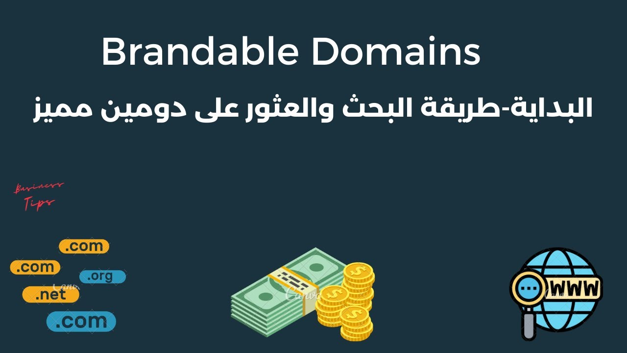 شرح حصرى وأسرار عن ال Brandable Domains