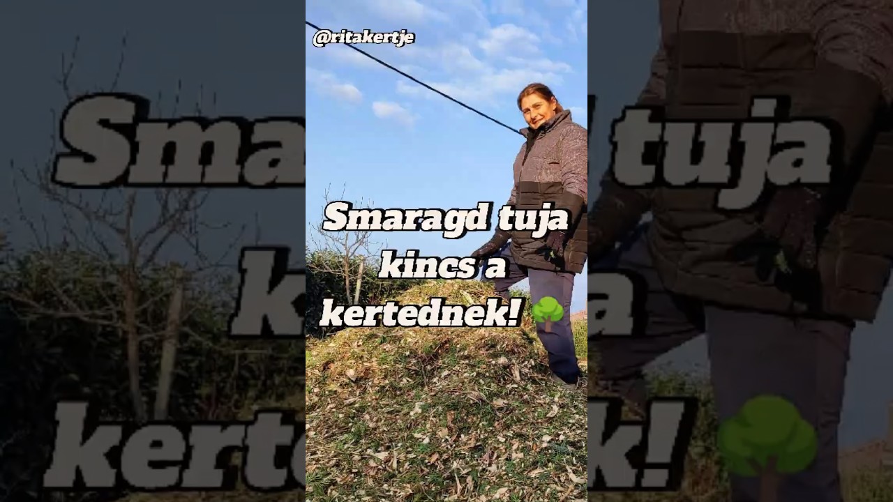 Smaragd tuja: kincs a kertednek! 🌳 #ritakertje