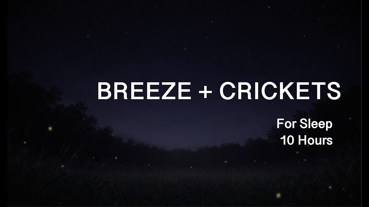 Night Breeze & Crickets for Deep Sleep (10 Hours) | Brown Noise, Black Screen