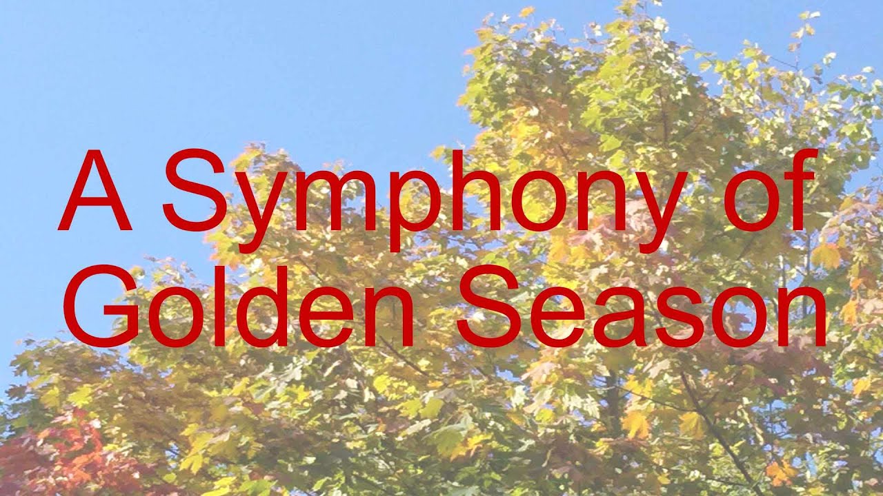 A Symphony of Golden Season, Relax, Meditation, Peaceful 