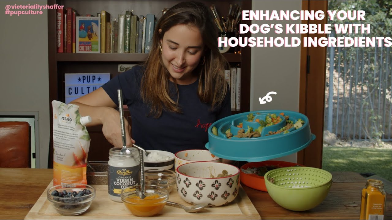 Enhancing Your Dog's Kibble With Household Ingredients