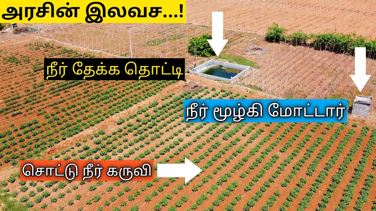 மானிய சொட்டுநீர், நீர்த்தேக்க தொட்டி & நீர்மூழ்கி மோட்டார் | Drip Irrigation Kit, Motor & Water Tank
