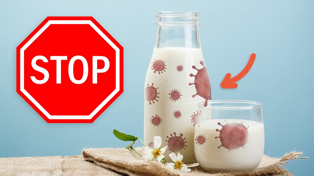 Warum dich Kuhmilch krank machen kann (trinke stattdessen DAS)